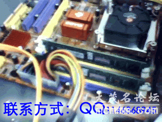 2011-02-23-6.gif