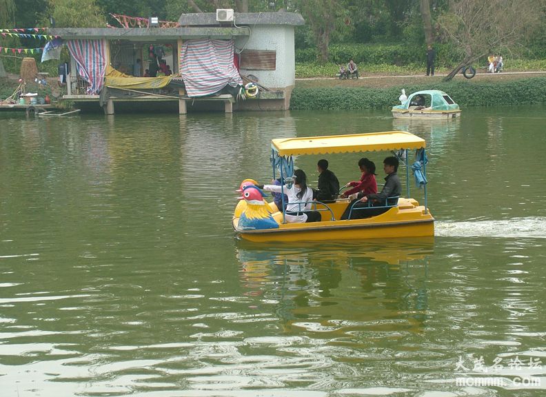 39.jpg