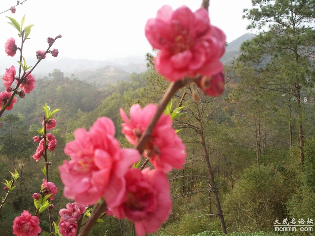Ƭ092.jpg