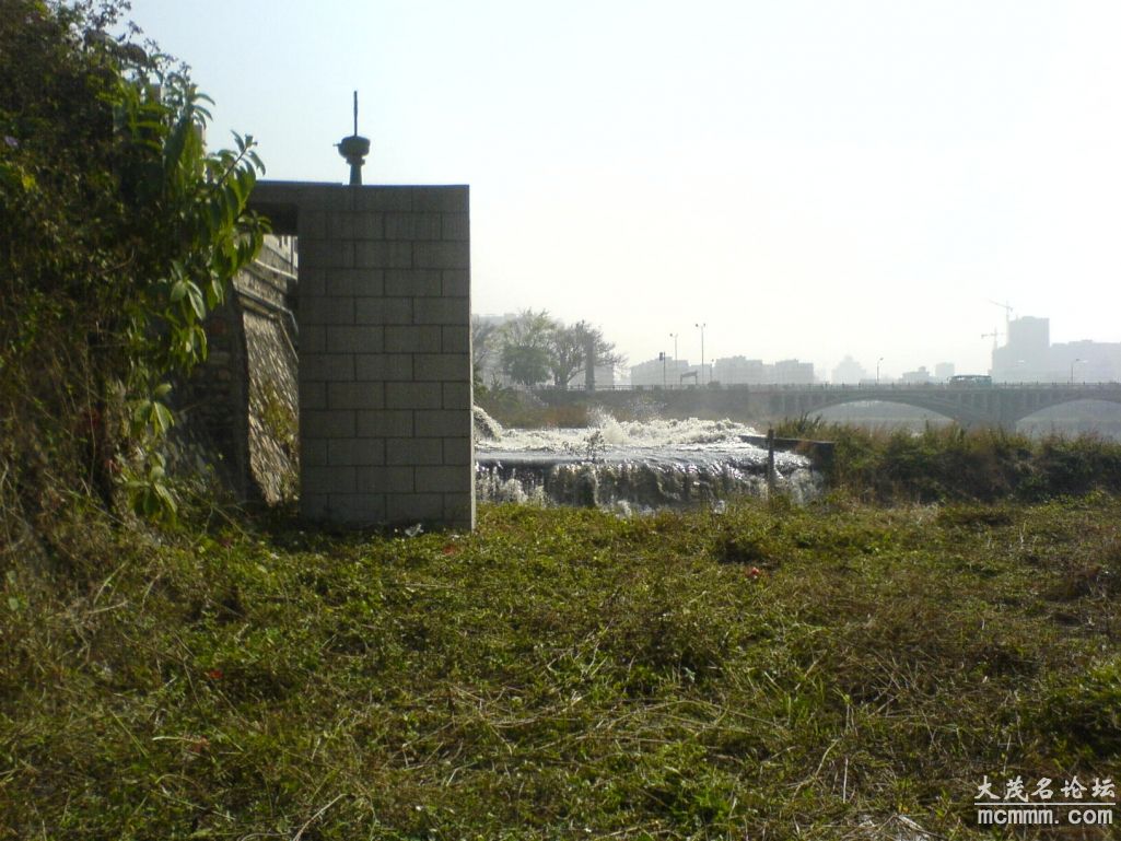 DSC02129.JPG
