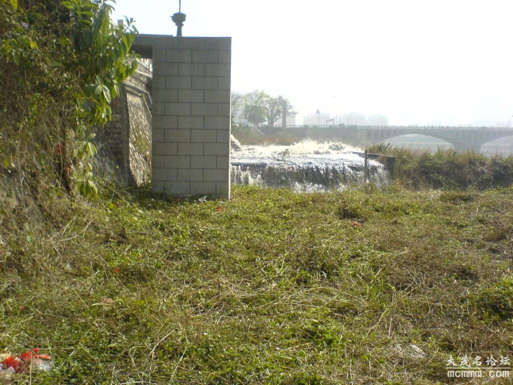 DSC02131.JPG