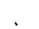 111.gif