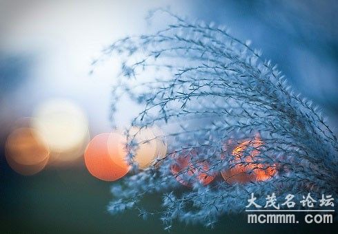 6199600_12.jpg