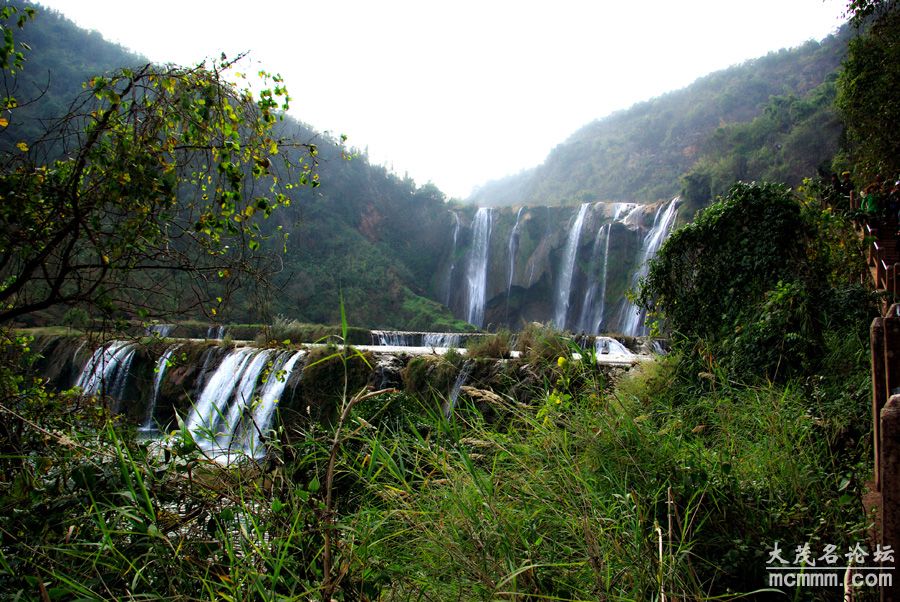 IMGP8714.JPG