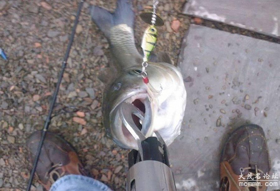 2_.jpg