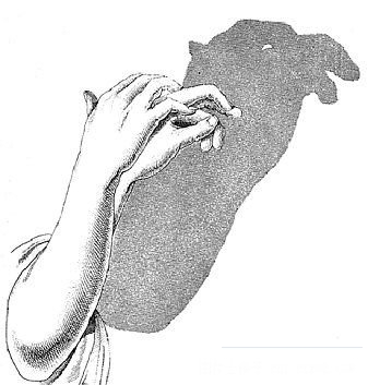 9233851_15.jpg