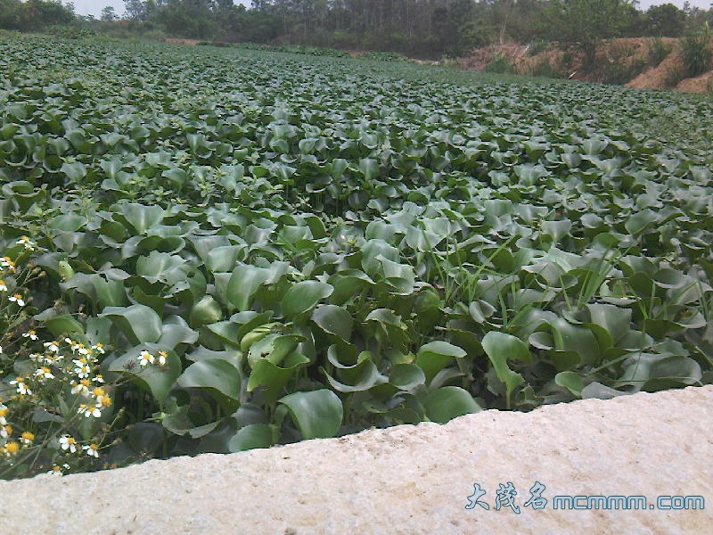 照片-0003.jpg