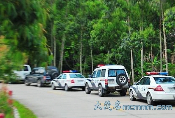 213703duups9nqu8p83dtn.jpg