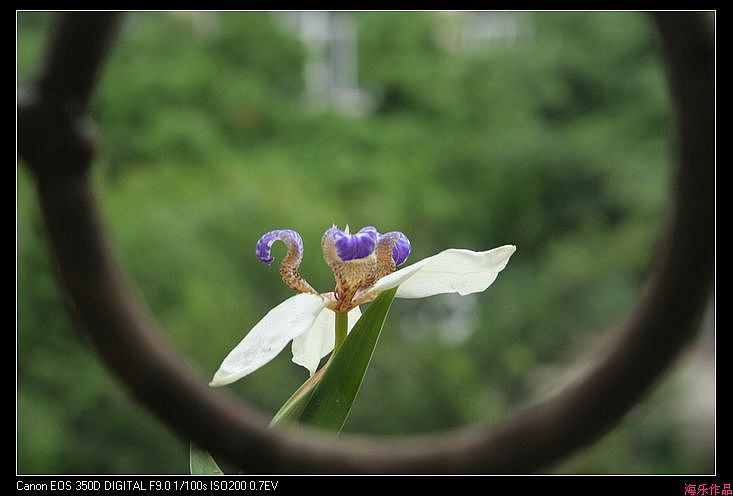 nEO_IMG_IMG_0007.jpg