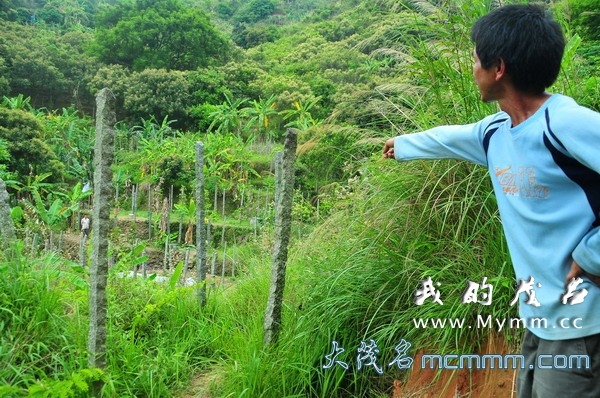 1342402d549h54h29oaap2.jpg