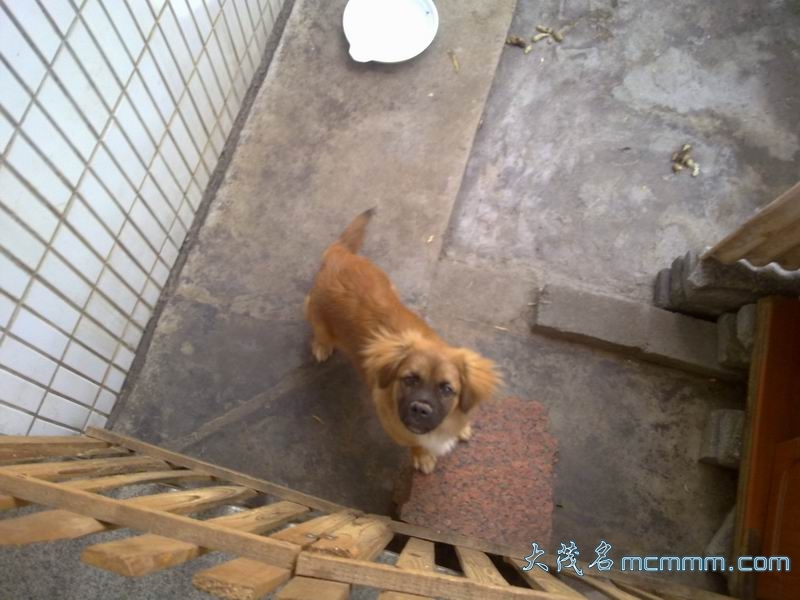 С 20110502120.jpg