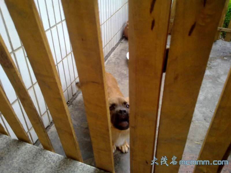 С 20110502121.jpg