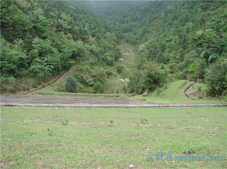DSC06854_.jpg