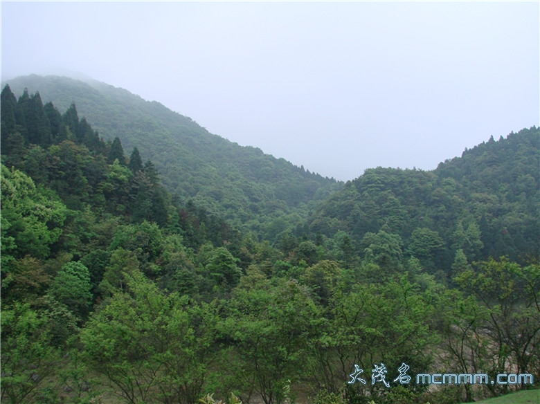 DSC06946_.jpg