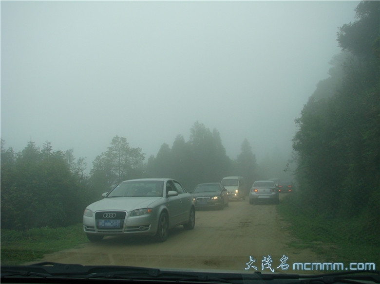 DSC06971_.jpg