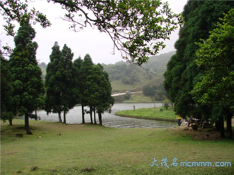 DSC07094_.jpg
