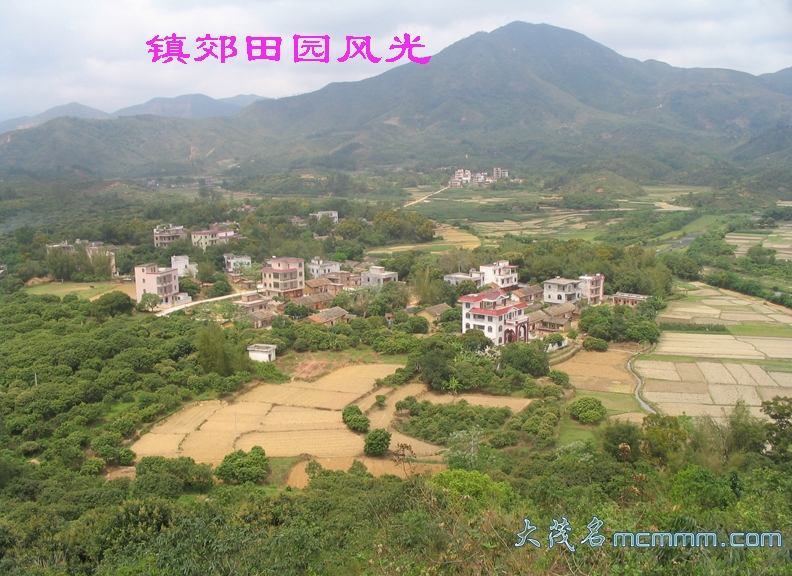 Ƭ 040.jpg