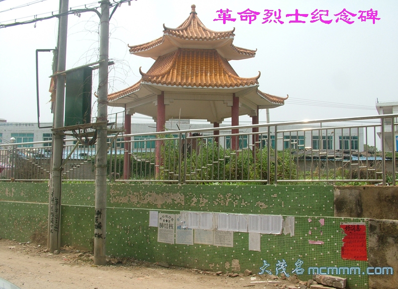 DSCF8050.jpg