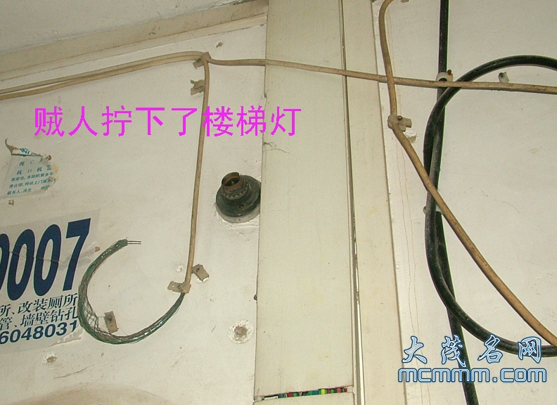 DSCF8809.jpg
