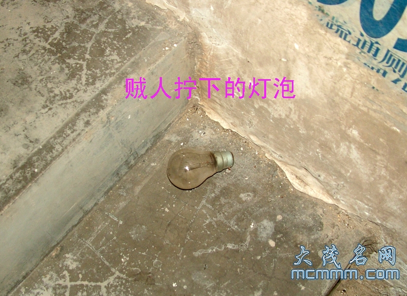 DSCF8815.jpg