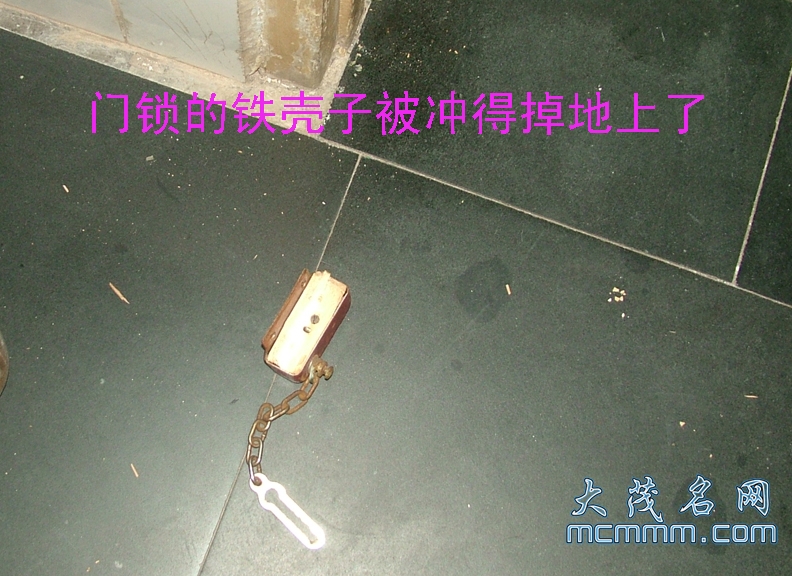 DSCF8811.jpg