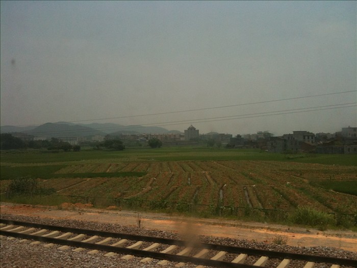 Ƭ 096.jpg