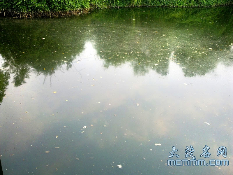 20110527473.jpg