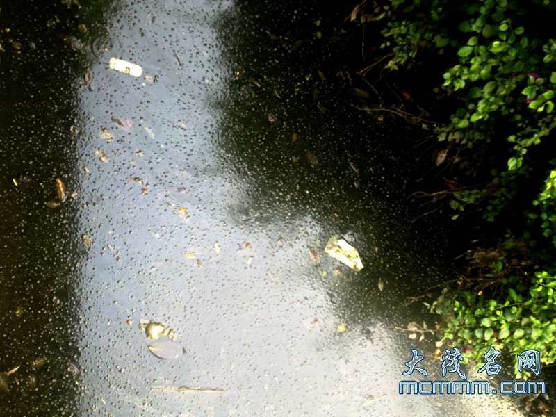 20110527476.jpg