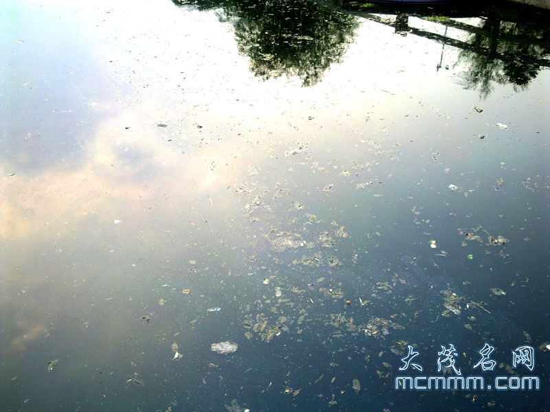 20110527474.jpg
