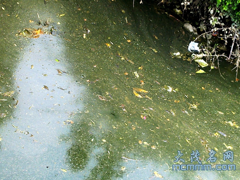 20110531524.jpg