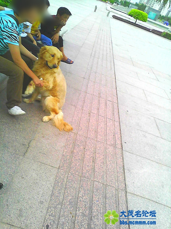 img0040a_.jpg
