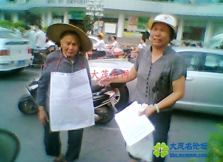 Ƭ0242.jpg