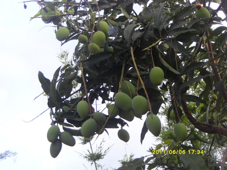 SDC11674_.jpg