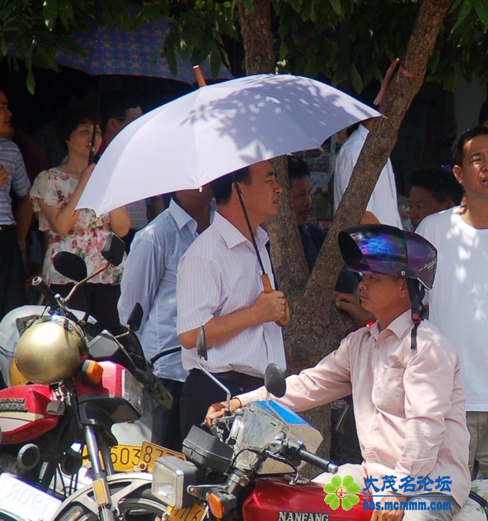 DSC_3337.jpg