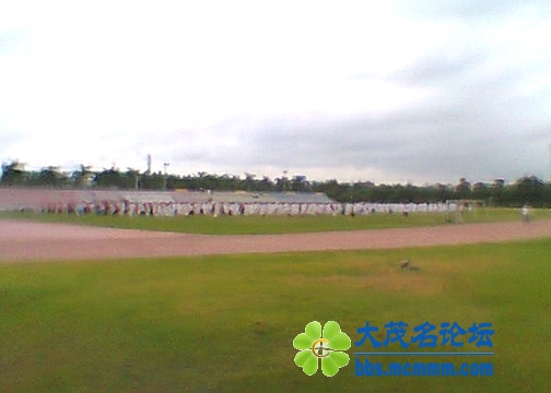 Ƭ0255.jpg