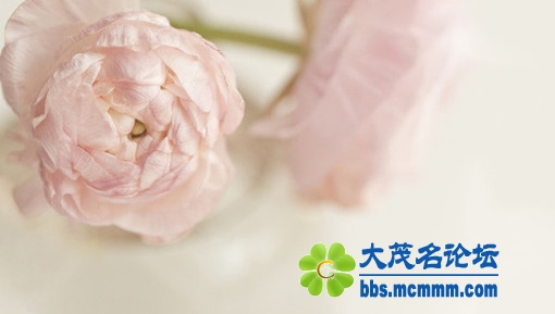 201105061257113493.jpg