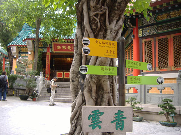 DSCF6545.JPG