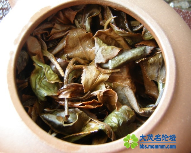 东方美人3.jpg