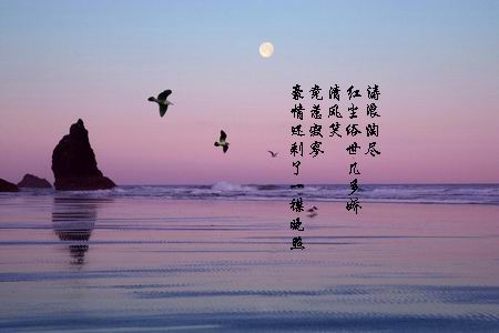 沧海.jpg