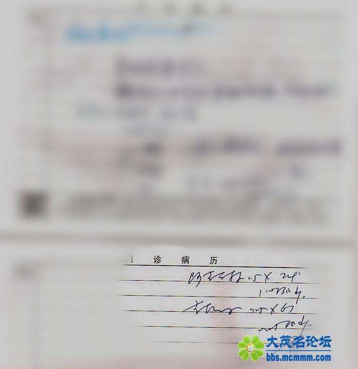 2010112121358805_.jpg