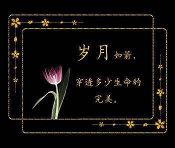 岁月.jpg