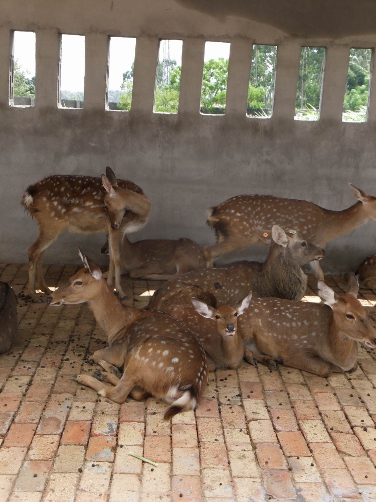 DSCF7469.jpg