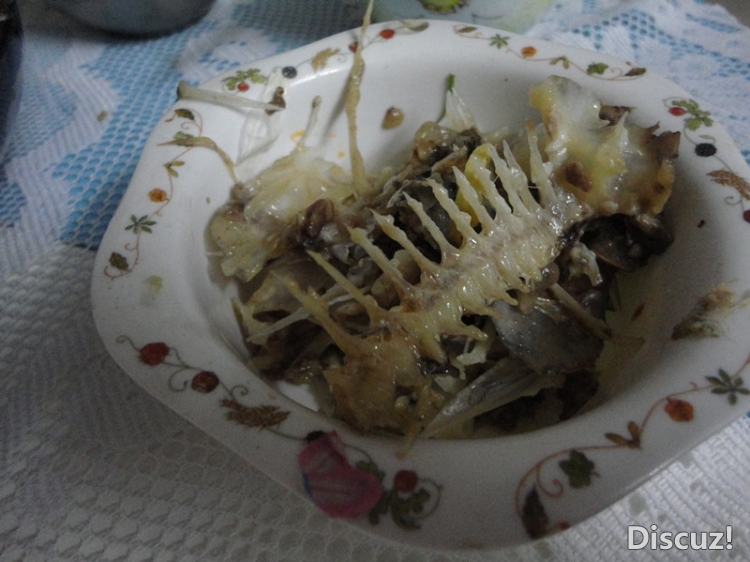DSC03680_.jpg