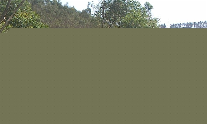IMAG0374.jpg