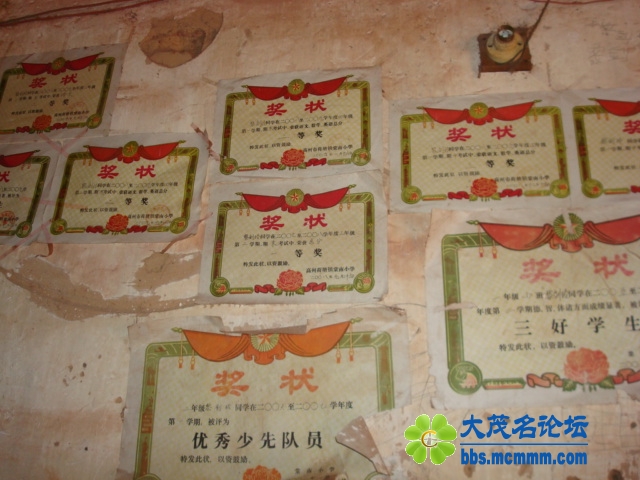 DSC03489.JPG