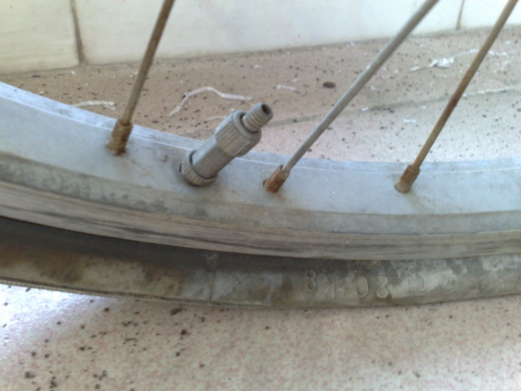 201111298982.jpg