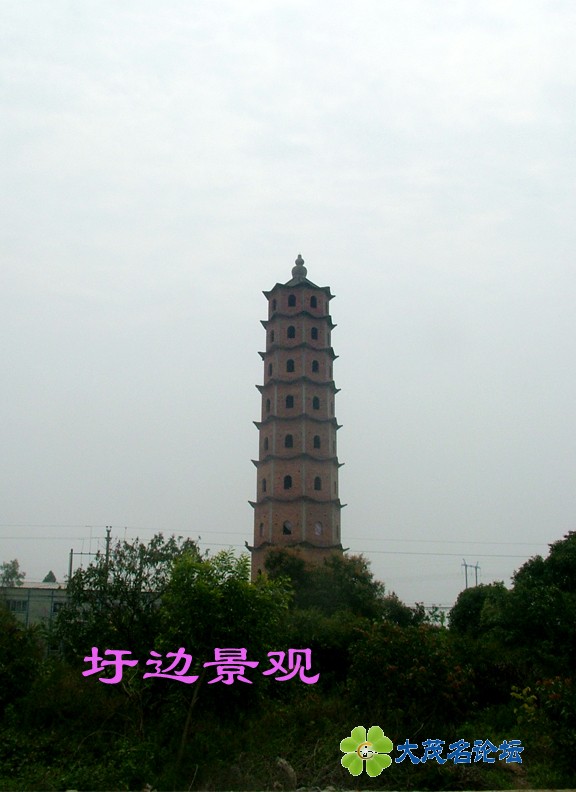 DSCF7997.jpg