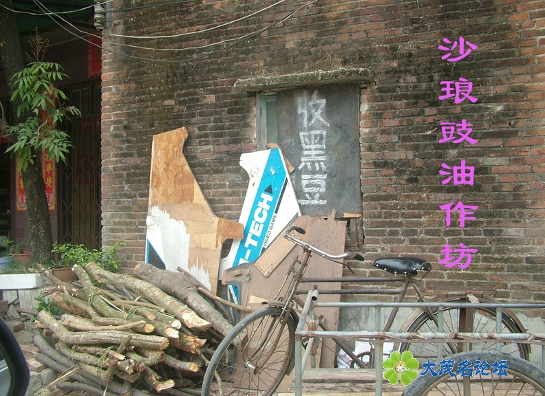 DSCF8072.jpg
