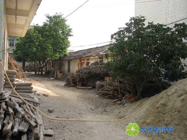 Ƭ 066.jpg