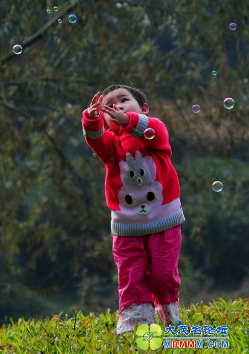20120101093755751.jpg